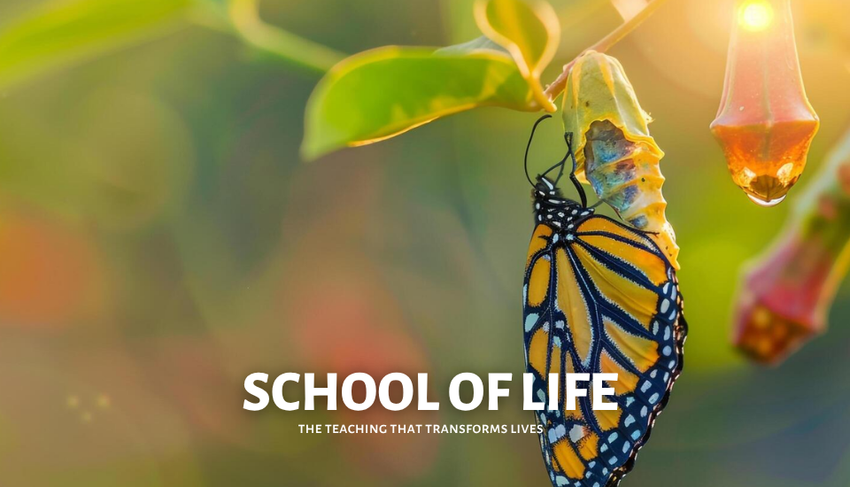 school-of-life-image-1